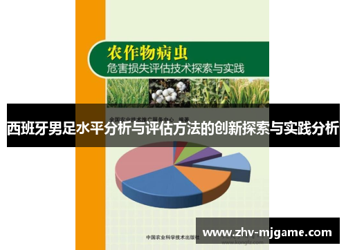 西班牙男足水平分析与评估方法的创新探索与实践分析 西班牙男足水平分析与评估方法的创新探索与实践分析